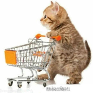 Meet your Posher, Yolanda